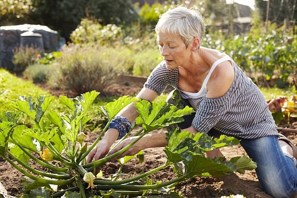 Living Pain-Free — The Goal